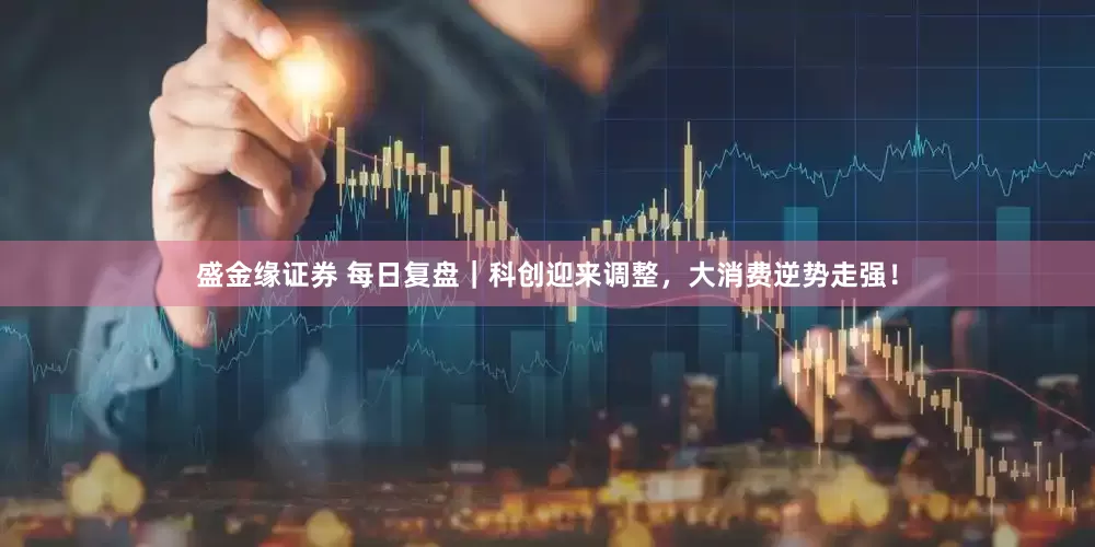 盛金缘证券 每日复盘｜科创迎来调整，大消费逆势走强！